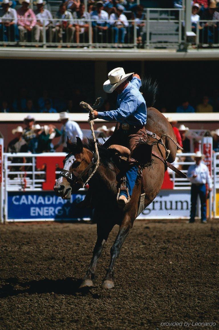 Travelodge Calgary Macleod Trail Bagian luar foto